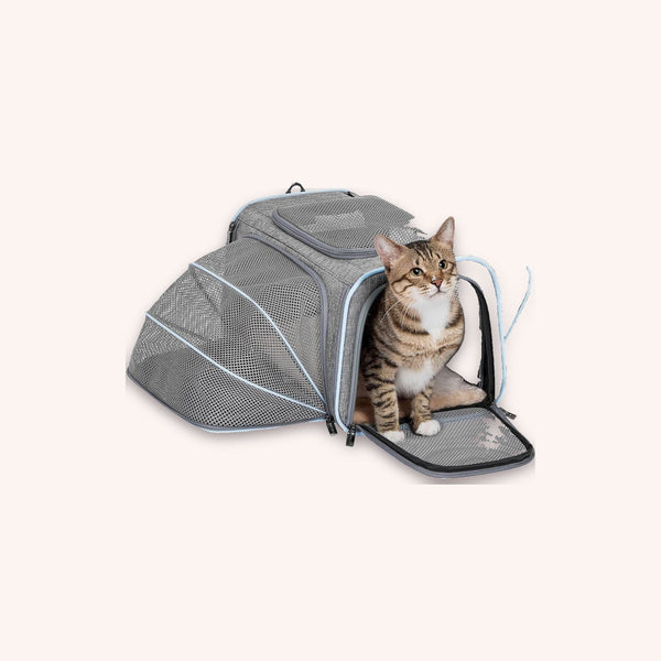 Expandable cat carrier, airline friendly - momomoca