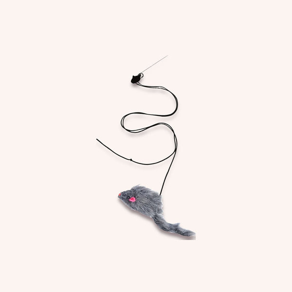 Hanging cat toy door bungee teaser - momomoca