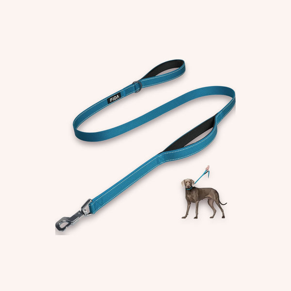 Heavy duty dog leash, 5ft dual handle - momomoca