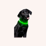 LED dog collar, rechargeable - momomoca