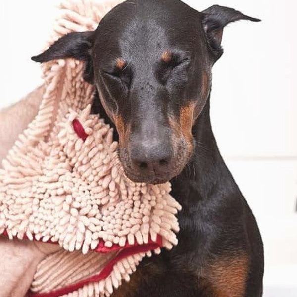Microfibre dog drying towel - momomoca
