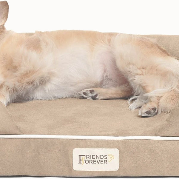 Orthopedic dog sofa bed, small - momomoca