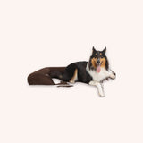 Orthopedic dog sofa bed, x-large - momomoca
