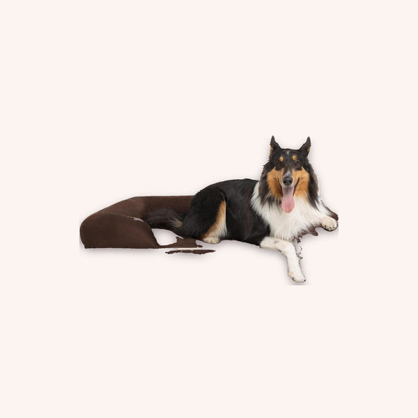 Orthopedic dog sofa bed, x-large - momomoca