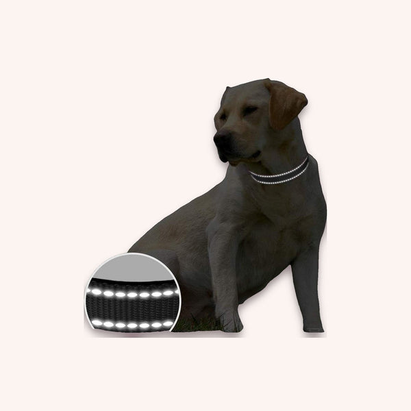 Reflective dog collar, black - momomoca