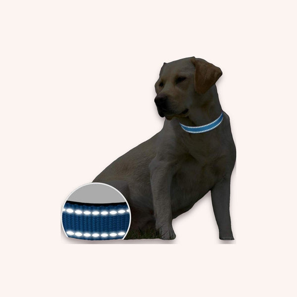 Reflective dog collar, blue XL - momomoca