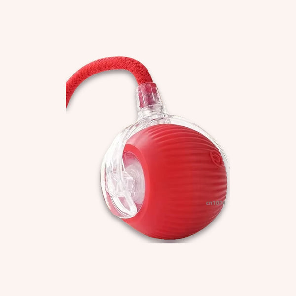 Rolling cat toy rechargeable mouse ball - momomoca