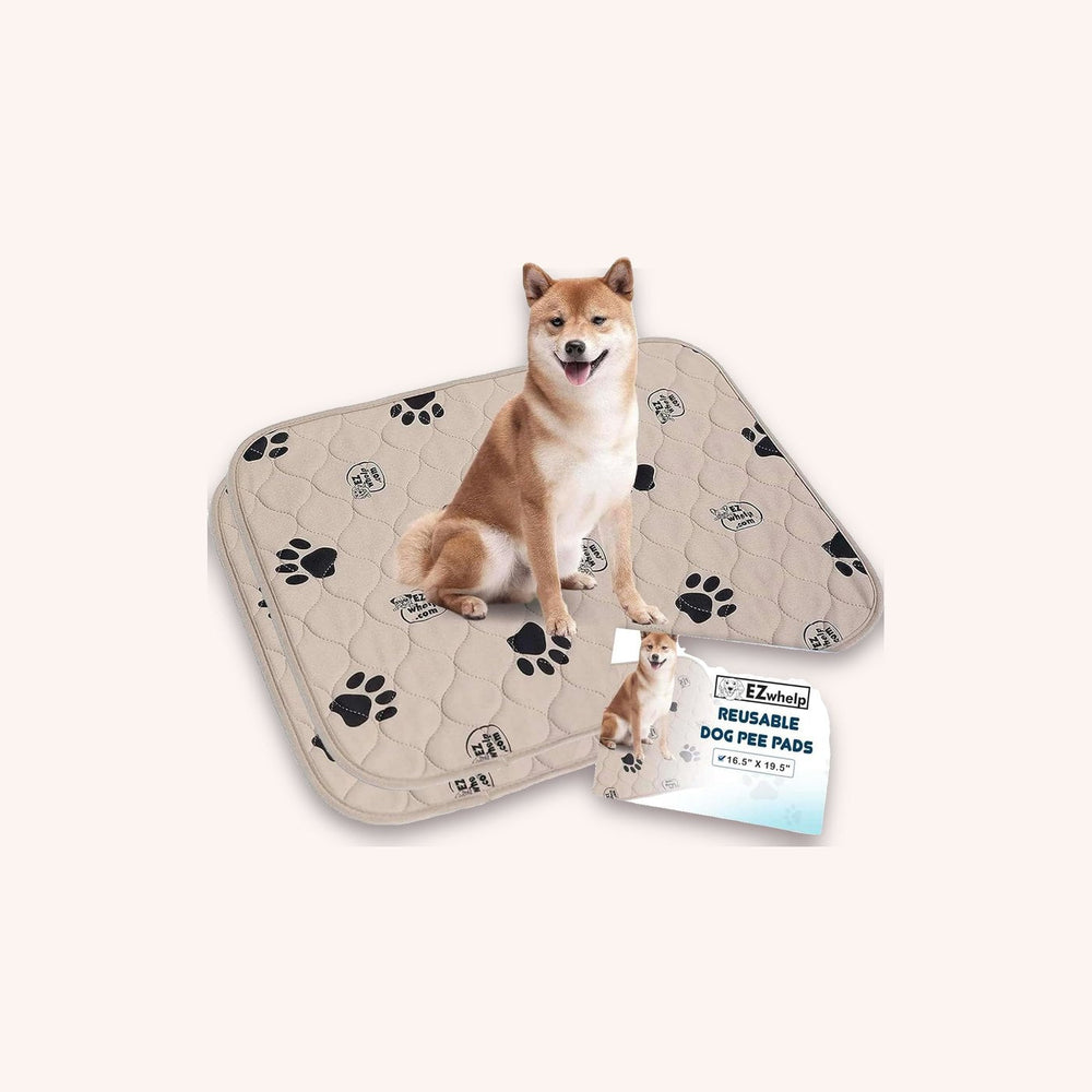 Washable dog pee pads, small 2-pack - momomoca